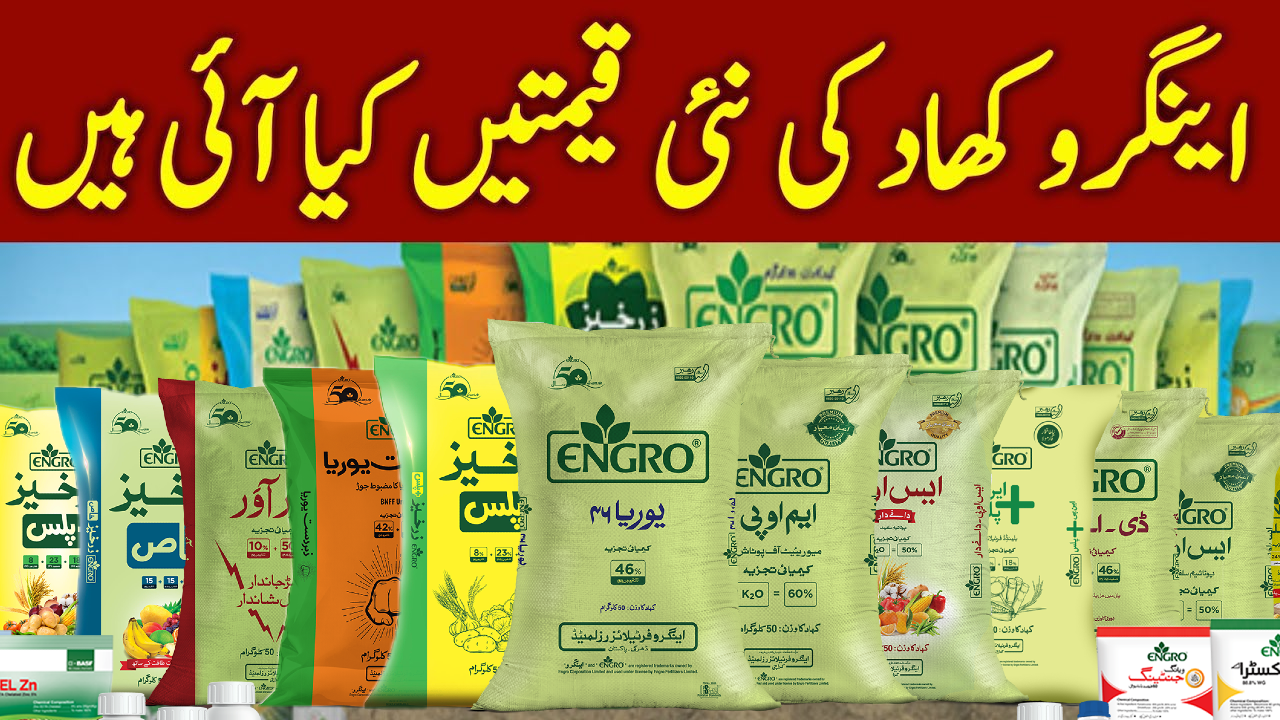 Engro Fertilizer Price in Pakistan