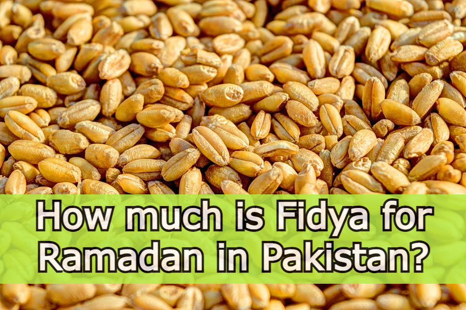 How much is Fidya for Ramadan 2024 in Pakistan for not Fasting or