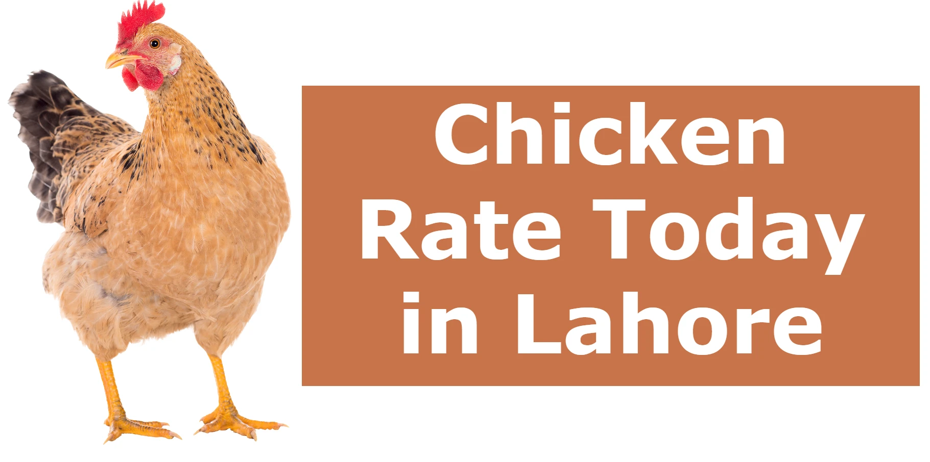 Chicken Rate Today In Lahore